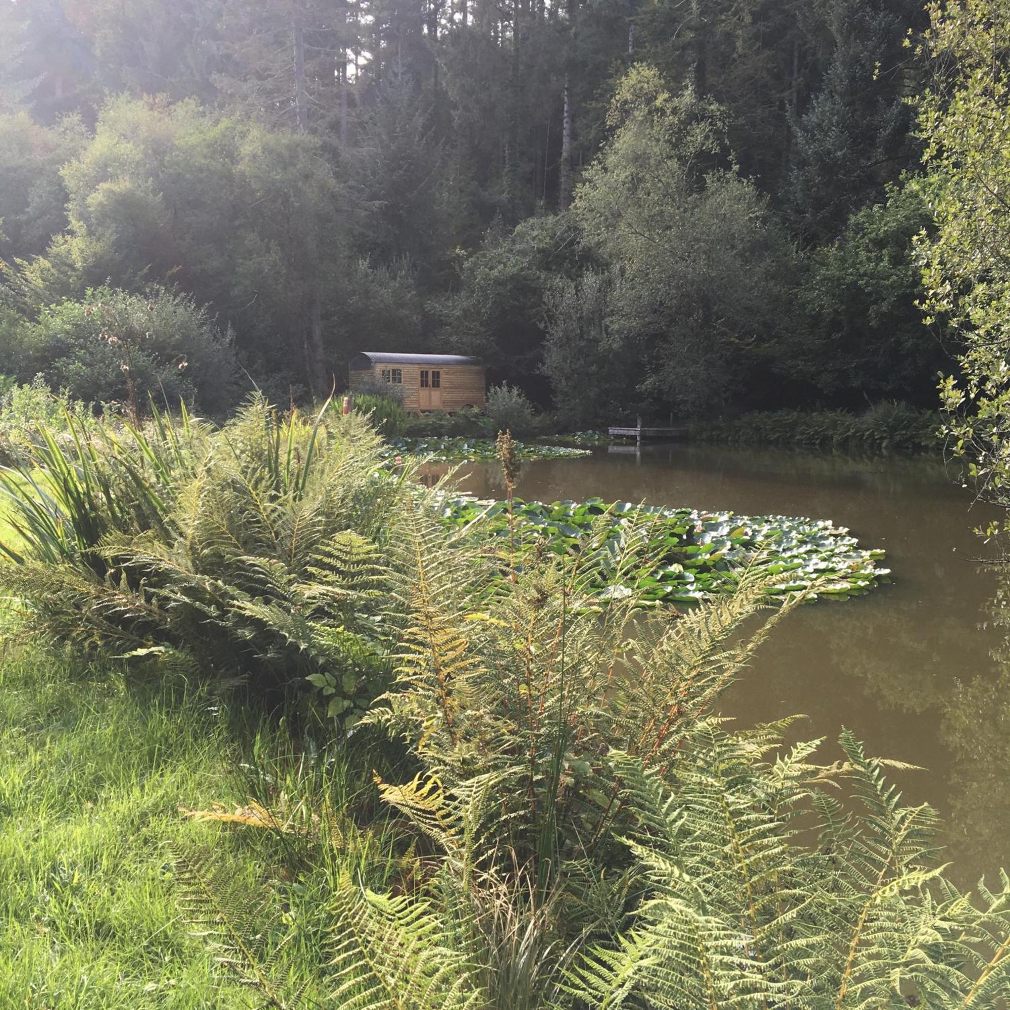 The Goose Nest Luxury Lakeside Shepherd Hut In Cardinham Woods, Cornwall Exterior photo